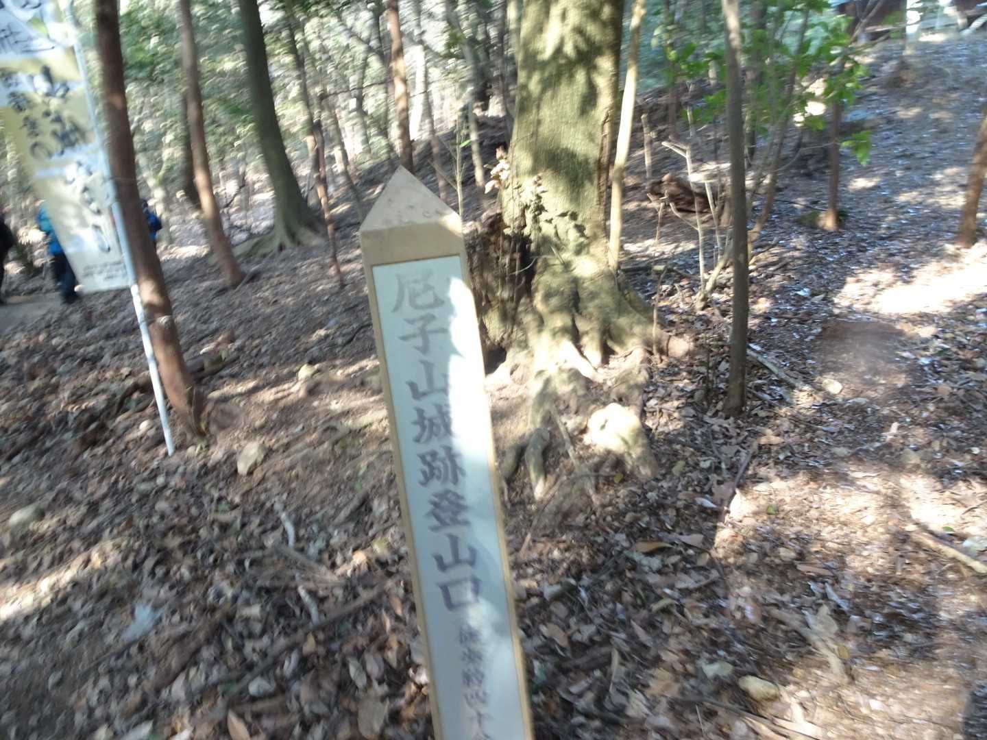 尼子山 往復コースの写真