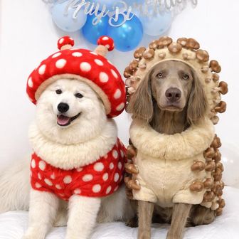 🐻るくりん🐻‍❄️