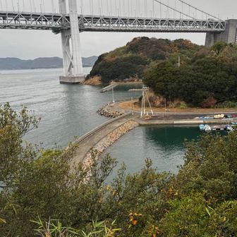 鍋島と与島を結ぶ道