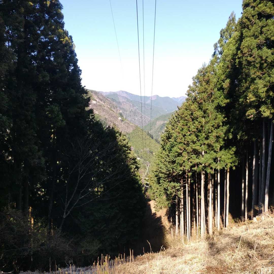 登計橋-登計トレイル-愛宕山 周回コースの写真