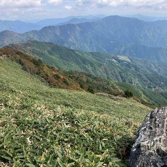 岩のベンチからの景色