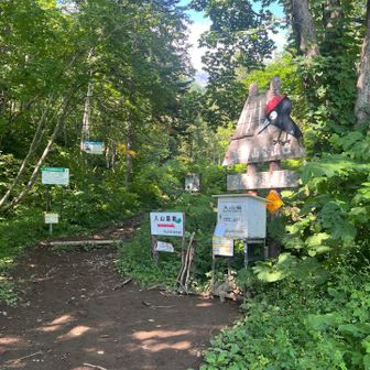 1番賑々しい真狩コースの登山口
YAMAP始める前に初登りなので久しぶり
日帰り自信なく避難小屋に泊まりました🛖