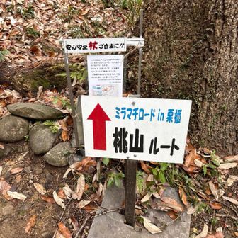 さぁ登り返しです😂