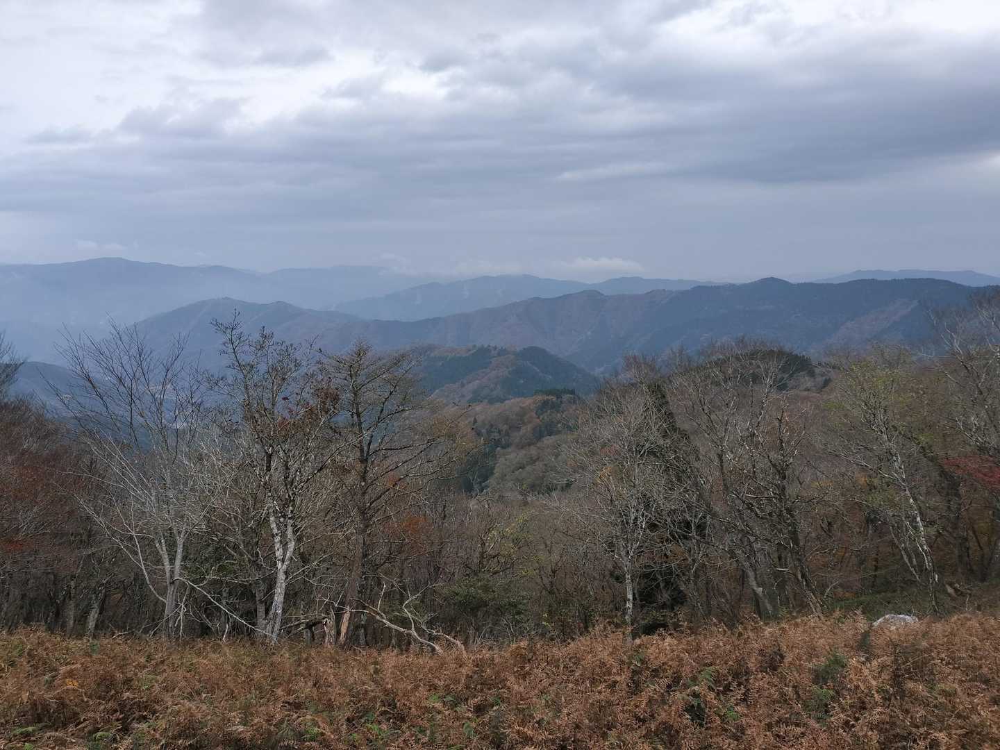 山頂に到着