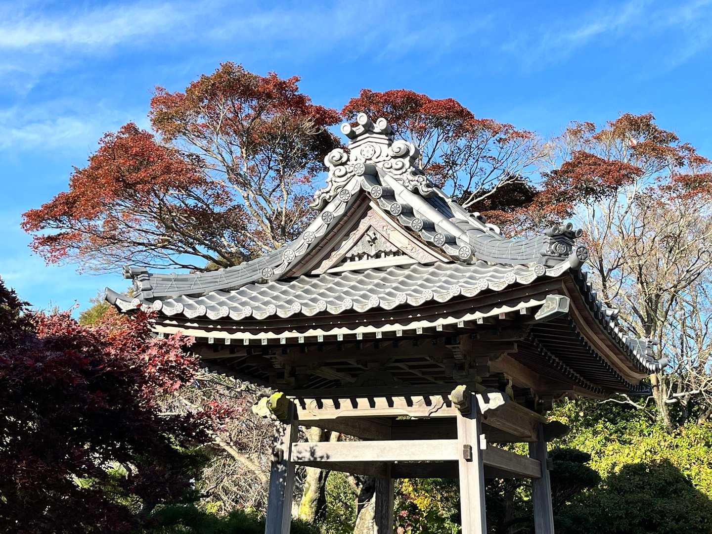 後ろの紅葉が🍁いい感じ👍