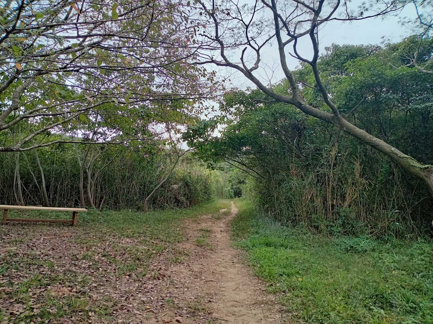 毎度苦しみゾーン👣