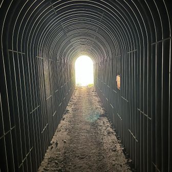 この時間帯のトンネル、なんかワームホールみたいだ。
