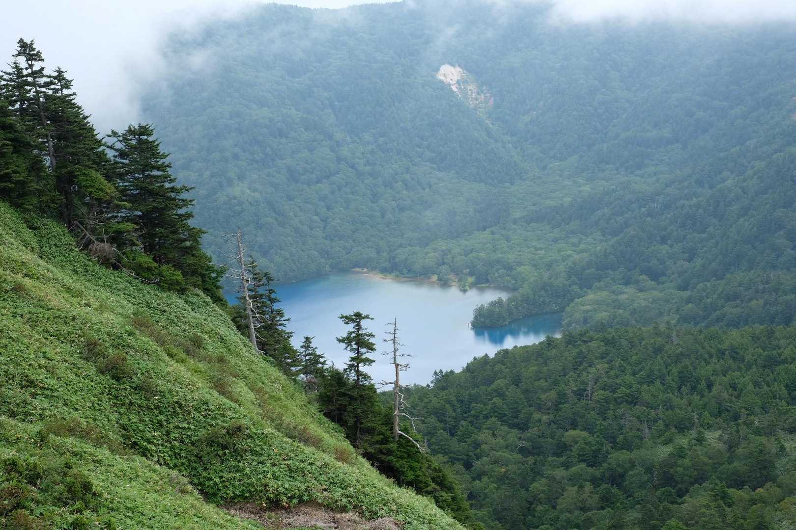山頂と思われるポイントからも