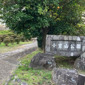 一番遠い駐車場に停めてしまった