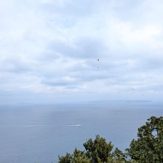 遠くに船も🛥️
お疲れ山でした✨
