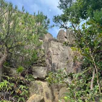 あとちょっとって思いながら🇯🇵⛰️山頂着いたら人が多かったので