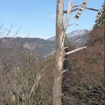 北側の富士写ヶ岳にも雪が❄️