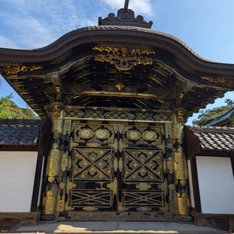 神々しかった。