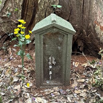 山の神様にご挨拶
