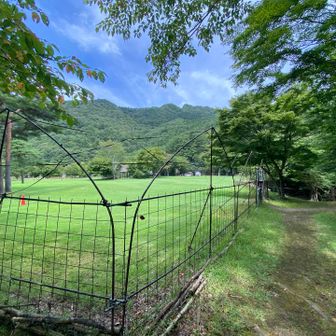 西湖野鳥の森公園へ戻る
