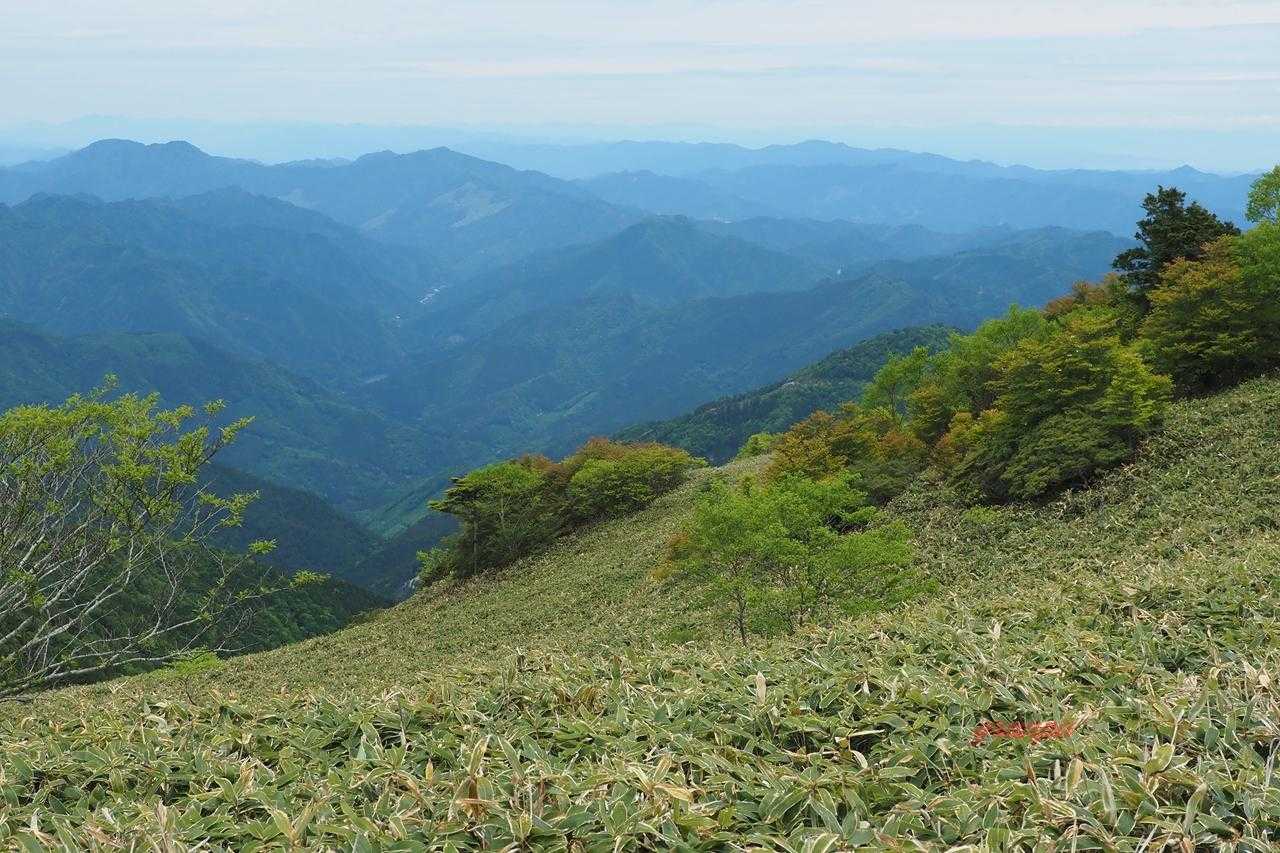 良い感じのところ・・