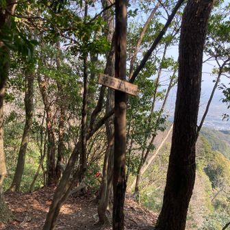 草履屋に寄り道