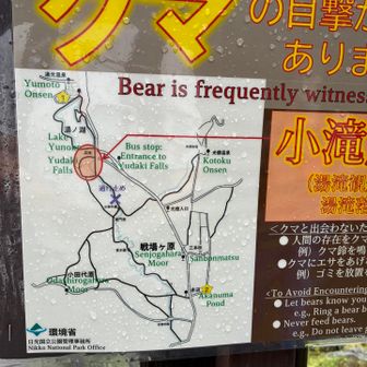 つい数日前にも目撃情報　もう当たり前だよね