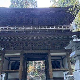 立派なお寺。大雄山最乗寺。別名道了尊。
バス停はすぐそこ。トイレもあります。
バスで10分ちょっと、大雄山駅まで。1時間に１本、予定より1時間前の15時発のバスに間に合いました🚌