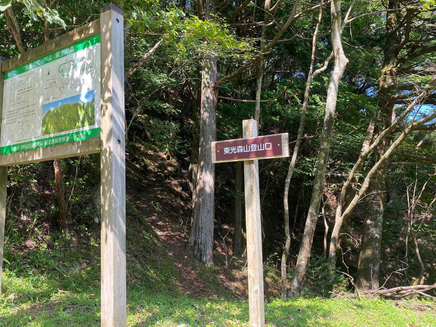 🅿️までの林道歩きで見つけた💡

どんな山なんだろう🤔