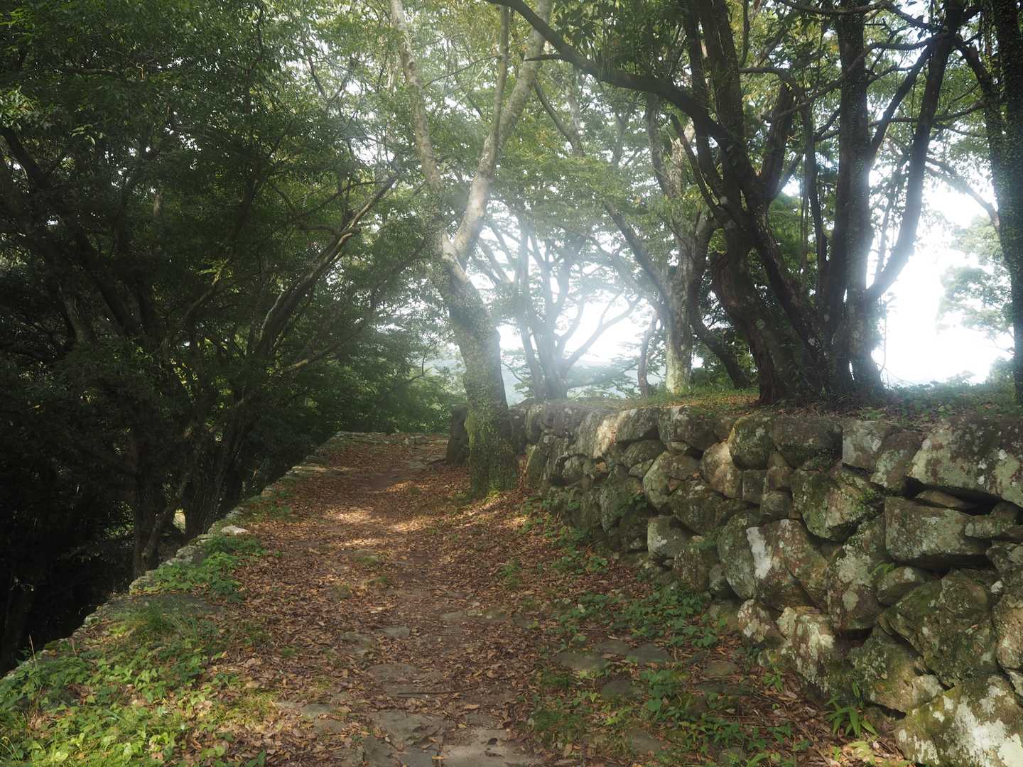 城山 往復コースの写真