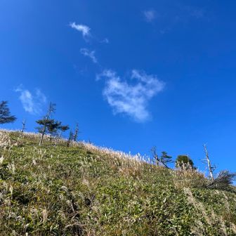 「先に下山してて」というctcさんのお言葉に甘えて
pocoちゃんと私は先に下山
青空〜💙