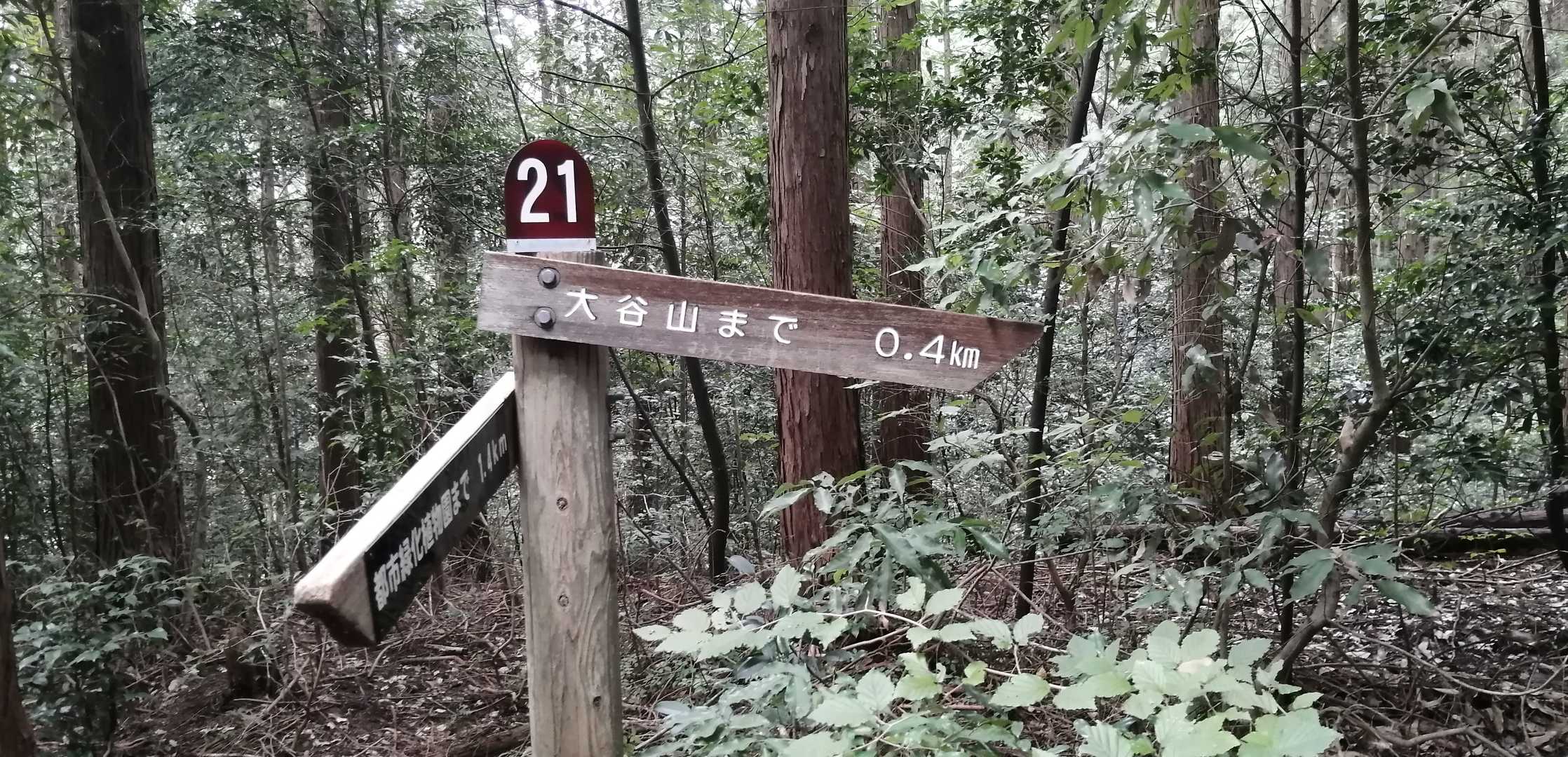 弥勒山登山口-大谷山 往復コースの写真