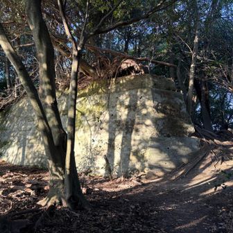 東山
特に見どころはありませんでした。