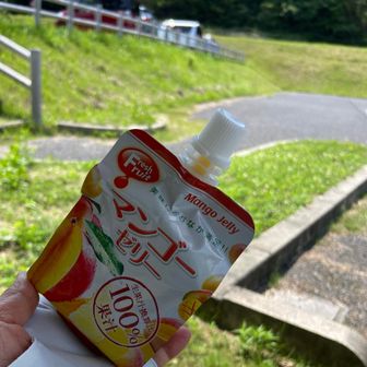 ビジターセンターに帰りました。
おつかれマンゴー🥭