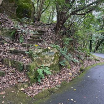山頂へは左の階段を登ります。