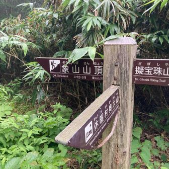 雨が降り始めたので象さんは断念🐘