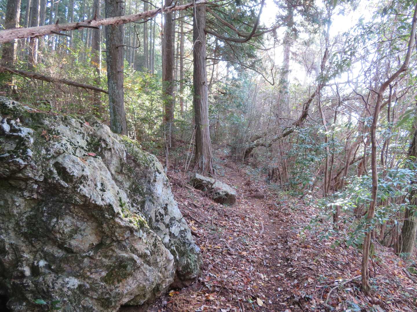 登山道