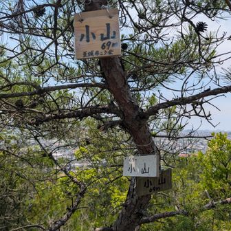 小山