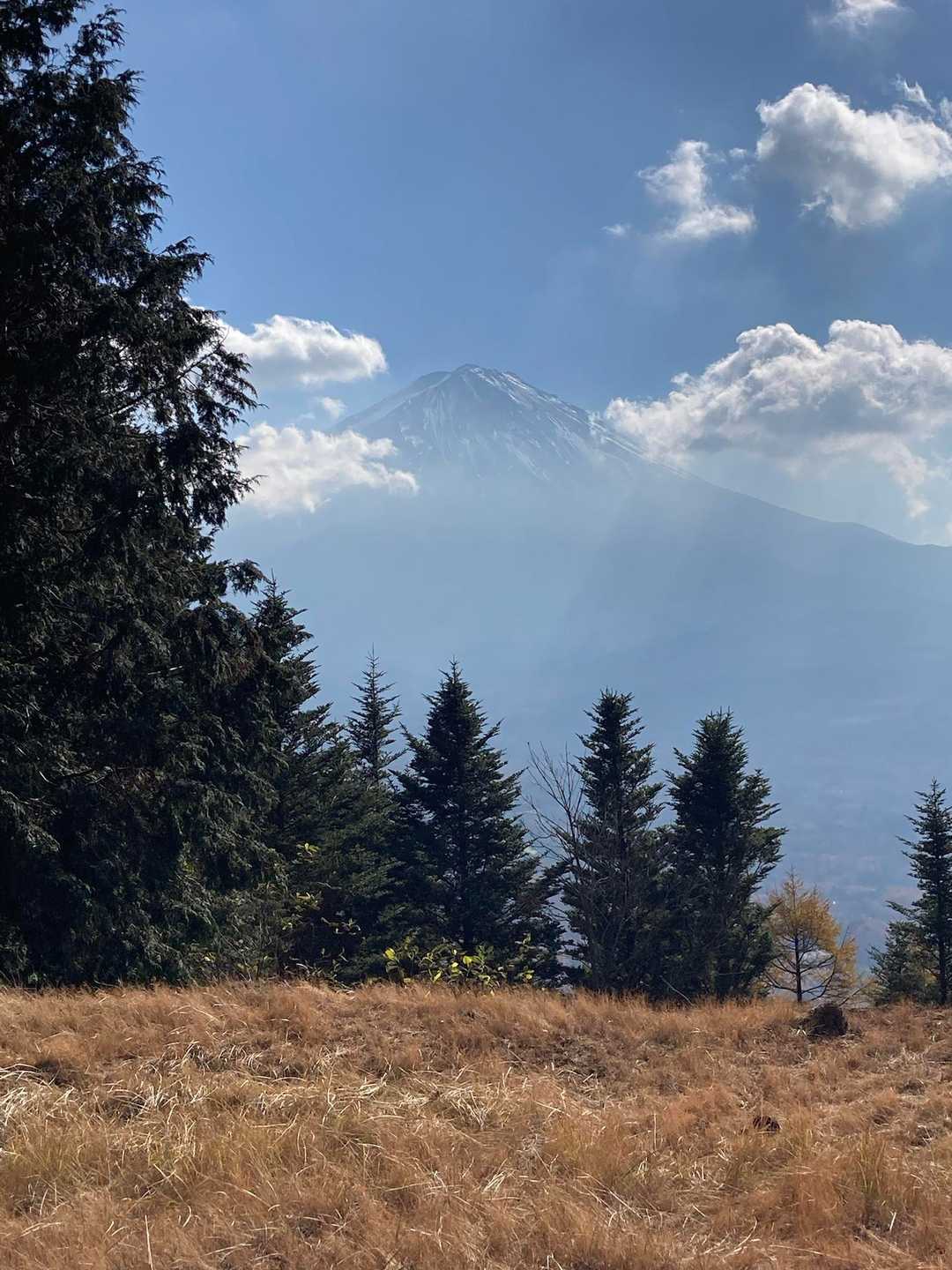 【縦走】足和田山（一本木バス停・紅葉台バス停）の写真