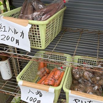 無人販売は秋の野菜🍠
里芋はお味噌汁にして大好評👏