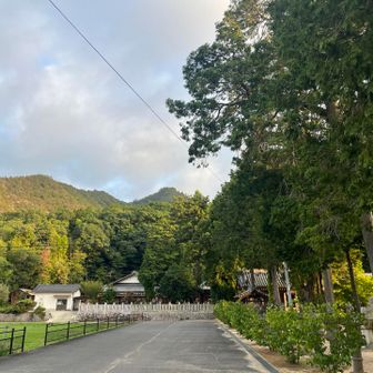 由加神社越しの竜王山