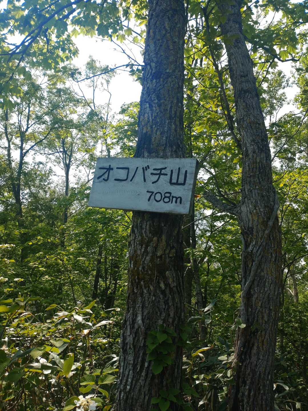 もうついた