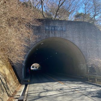 六甲縦走路を歩いて東お多福山へ