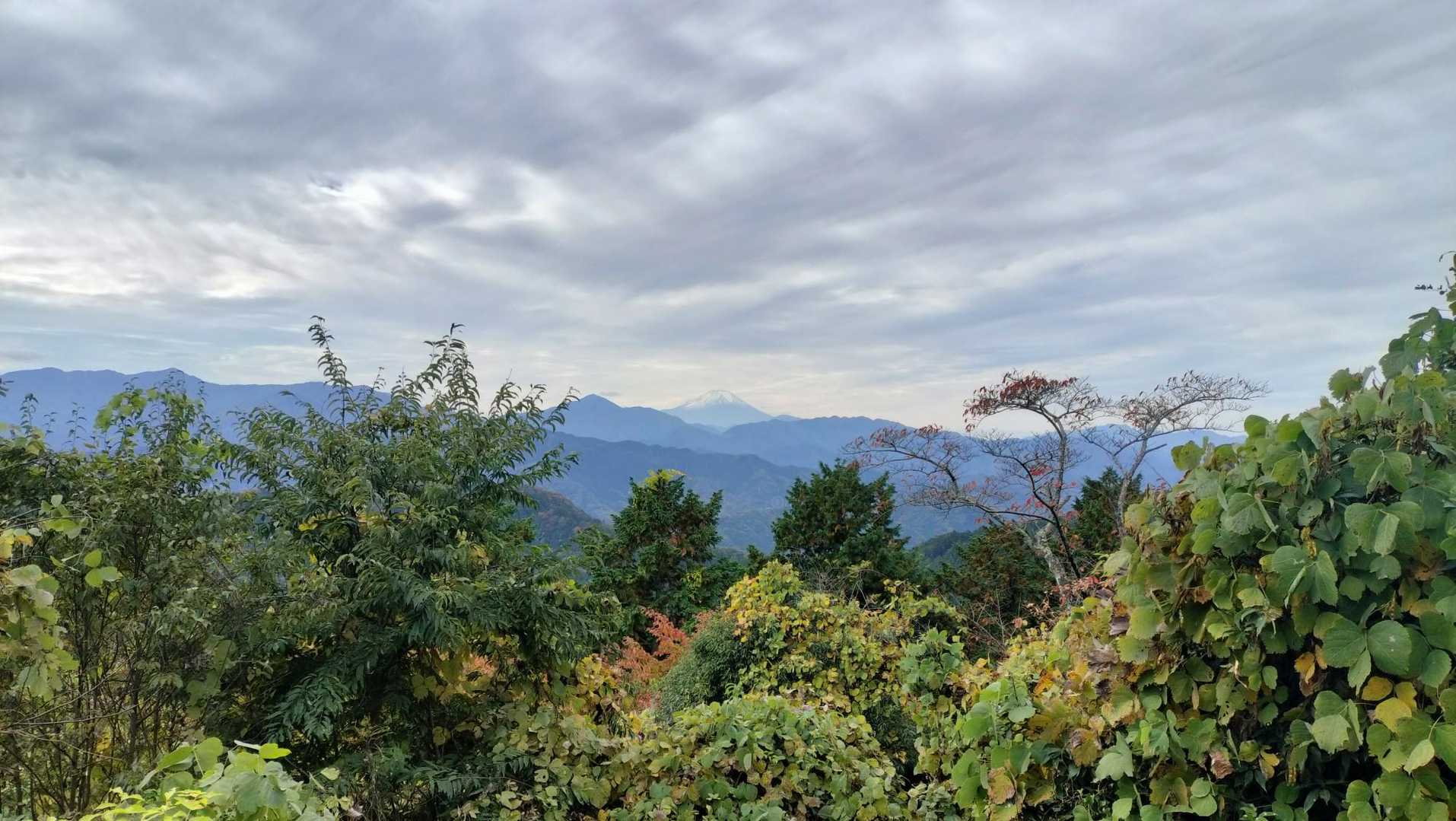 富士山　高尾山山頂から
久しぶりにきれいに見えた