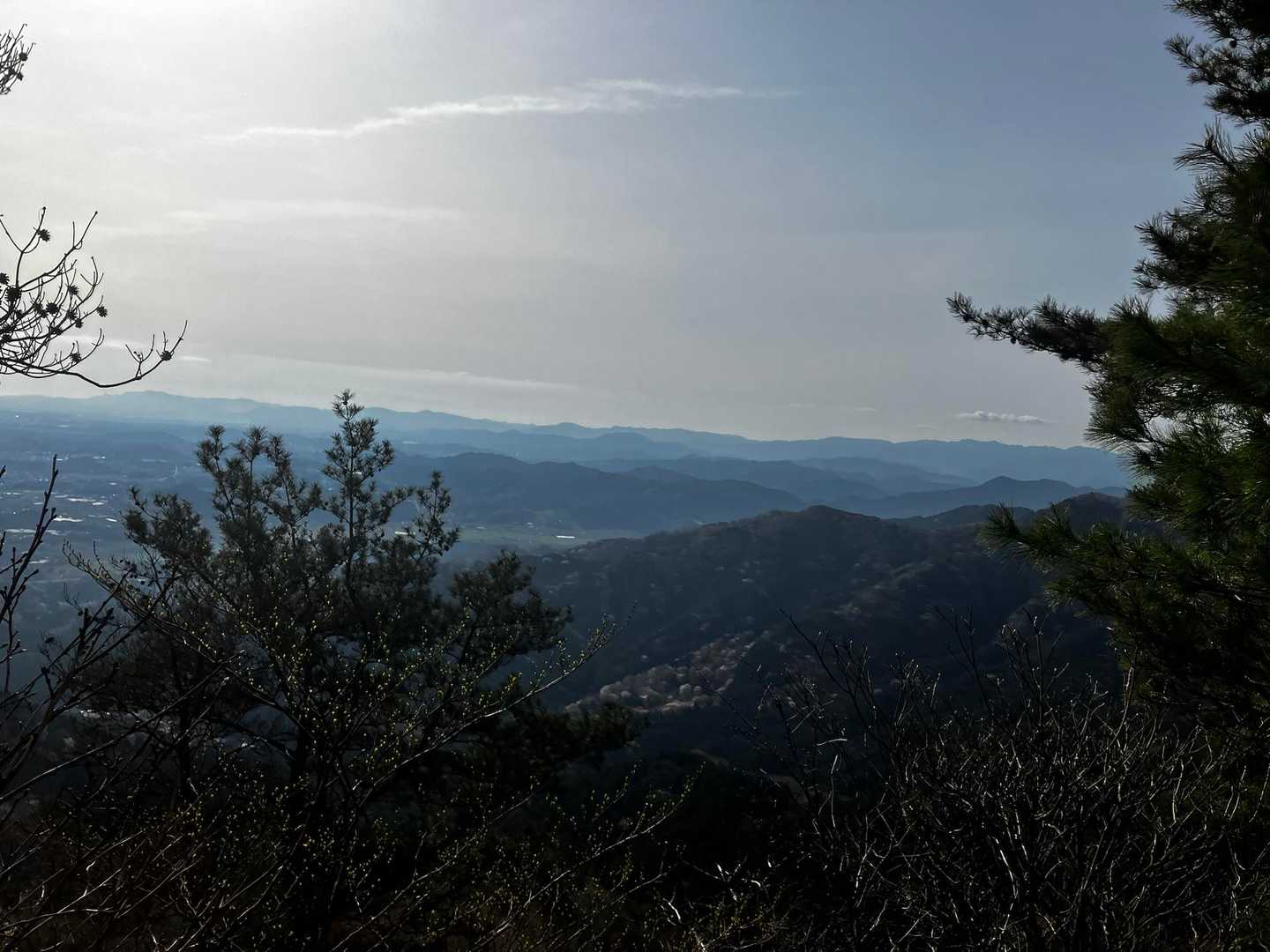 観音岳 往復コースの写真