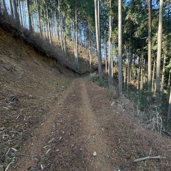 ピンテの付いた取付を見逃し、広い道を進んでしまいました