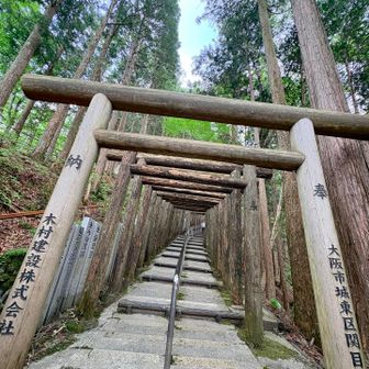 あれ？
水平に撮ってたつもりだったけど…🙄
