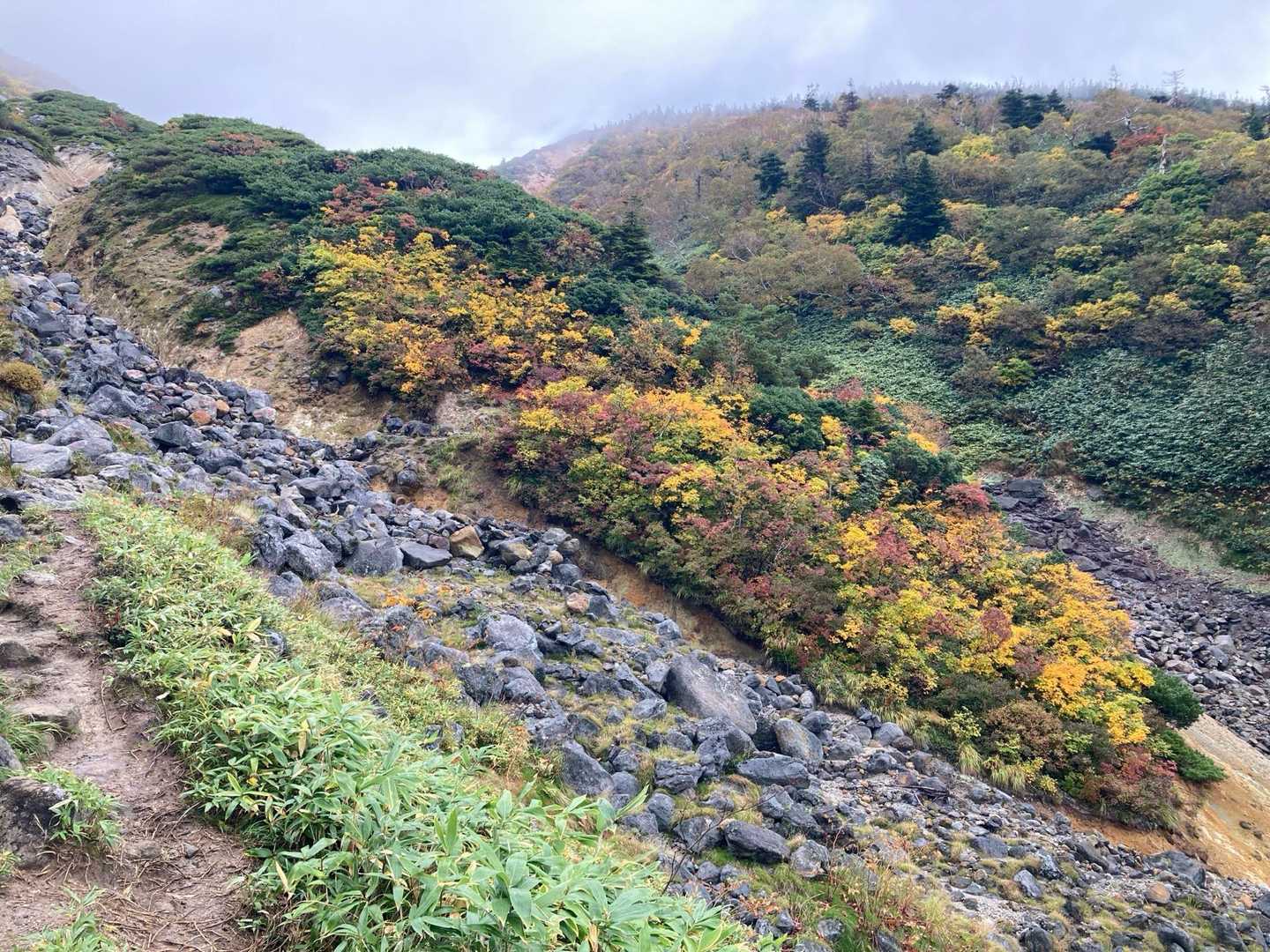 酸ヶ湯温泉から八甲田大岳を登り、広大な高層湿原を歩く王道コースの写真