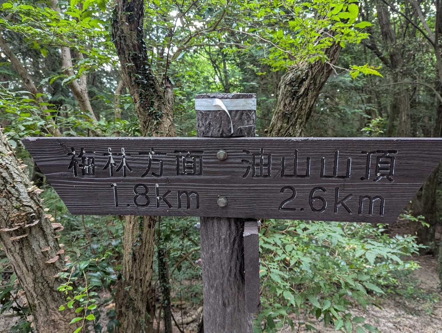 妙見山 往復コースの写真