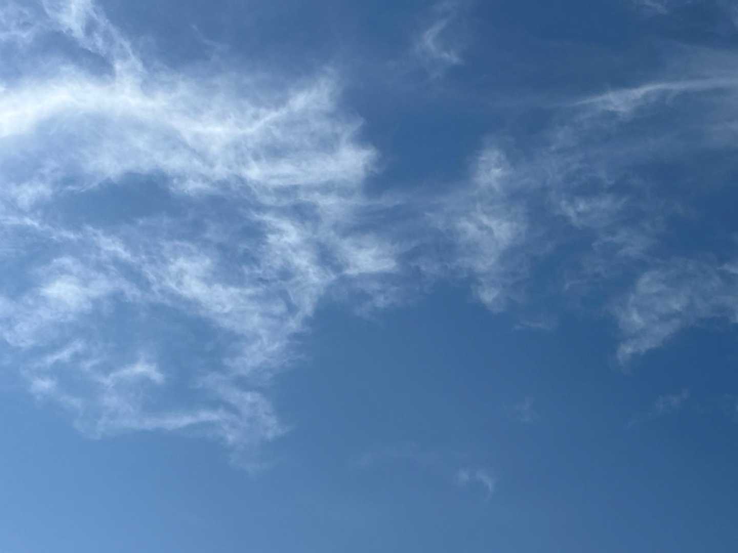 秋晴れです、爽やかー=(^.^)=