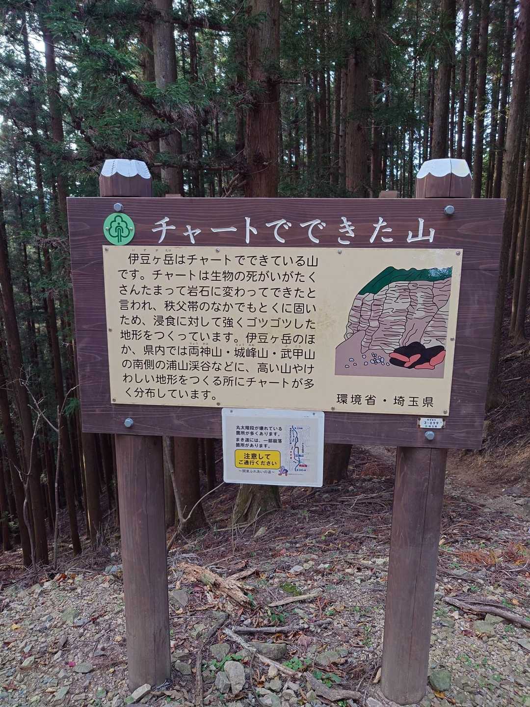 途中でスライドした人が、この先で熊🐻2頭居ましたよ。との情報