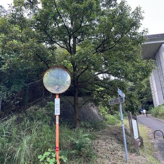 本日も　堪能しました　一同敬礼笑