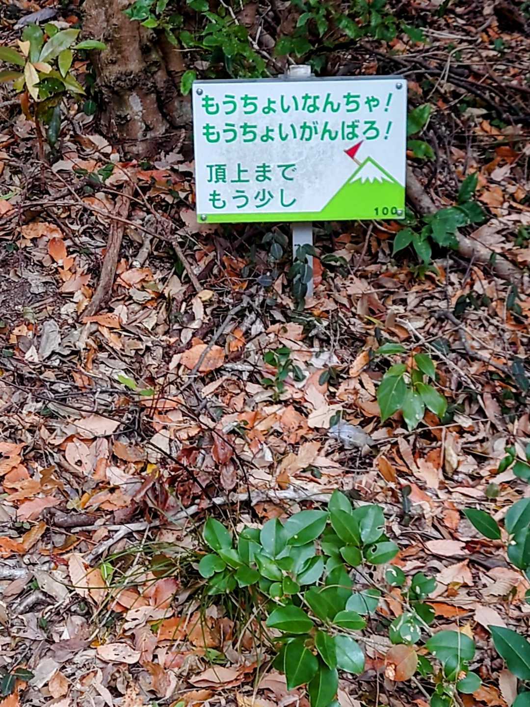 🚶頑張るっちゃ❗️