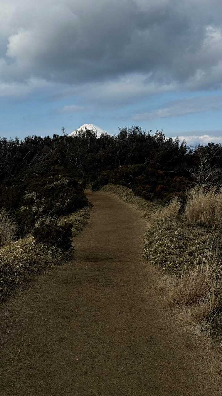 伊豆山陵線トレイル（三蓋山・水呑頭・猫越岳・後藤山・魂の山・棚場山・伽藍山・古稀山・達磨山・小達磨山） の写真 85
