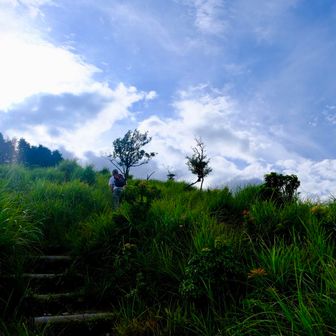 今のところ奇跡的に晴れてます☀️